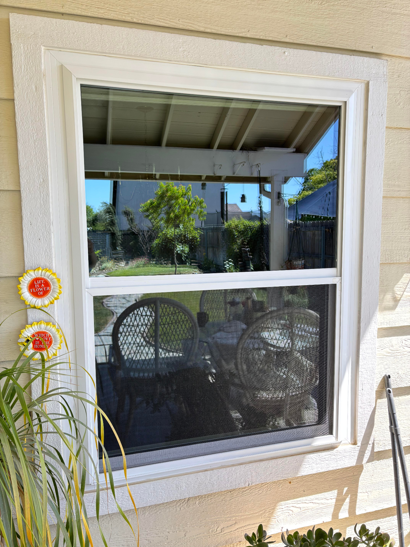 Commercial Solar & Window Cleaning ROI for Businesses